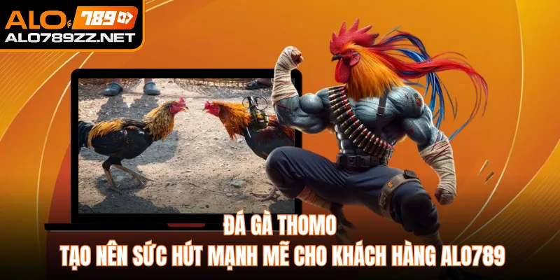 Đá Gà Thomo Tạo Nên Sức Hút Mạnh Mẽ Cho Khách Hàng ALO789