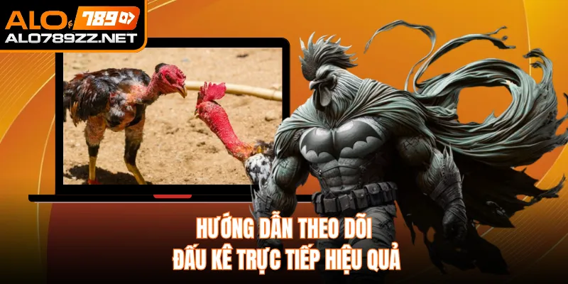 Hướng dẫn theo dõi đấu kê trực tiếp hiệu quả