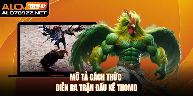 Mô tả cách thức diễn ra trận đấu kê Thomo
