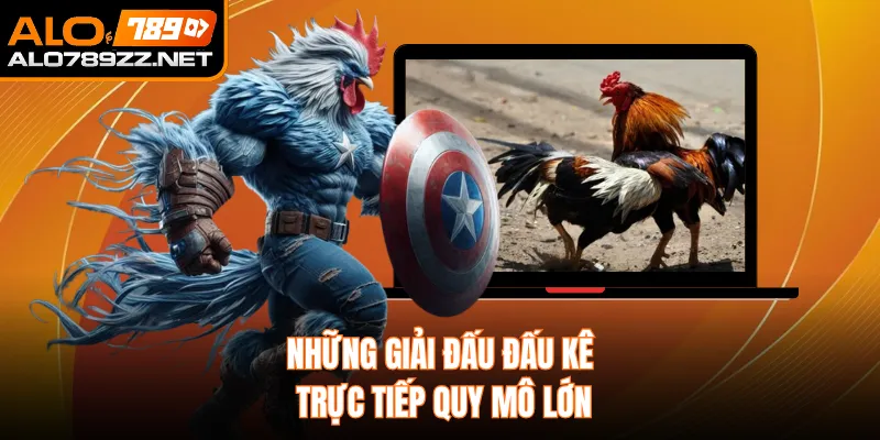 Những giải đấu đấu kê trực tiếp quy mô lớn
