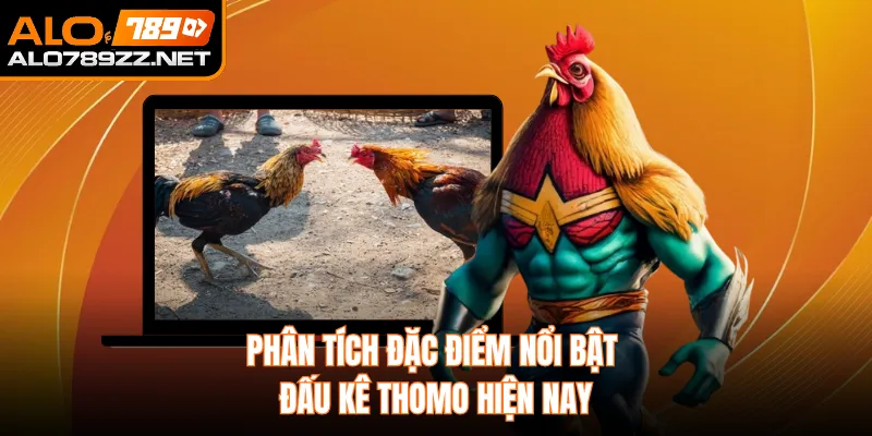 Phân tích đặc điểm nổi bật đấu kê Thomo hiện nay
