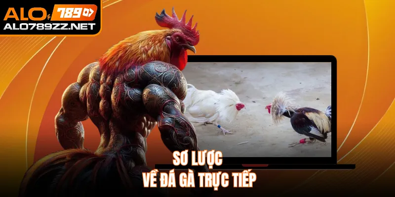 Sơ lược về đá gà trực tiếp 