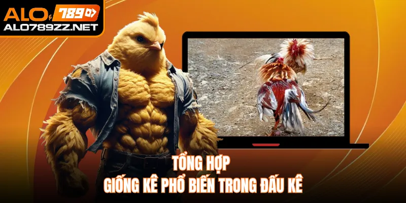 Tổng hợp giống kê phổ biến trong đấu kê