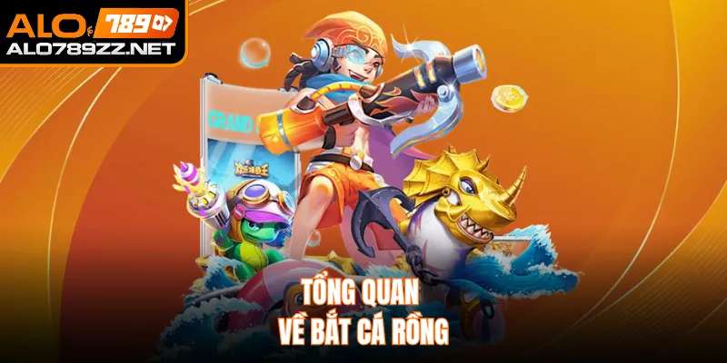 Tổng quan về bắt cá rồng 