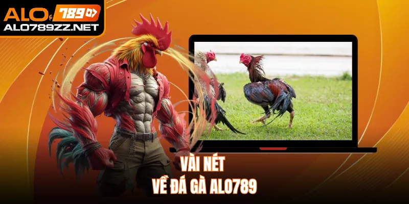 Vài nét về đá gà ALO789 